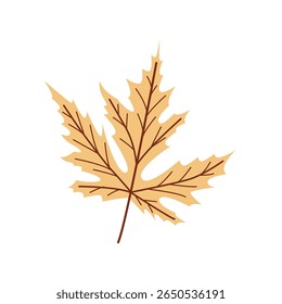 Flat vector maple leaf in autumn colors. Perfect for seasonal designs, invitations, posters, and prints. Minimalist, botanical and isolated on white.