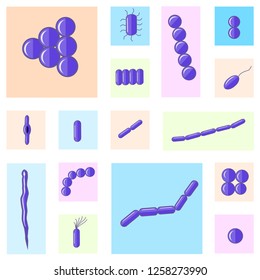 Flat vector microbiology set. Arrangements of different bacterial shapes. Purple coccus, bacillus, curved bacteria. Isolated on white