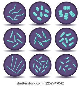 Flat vector microbiology set. Arrangements of green bacillus bacteria in Petri dish. Isolated on white
