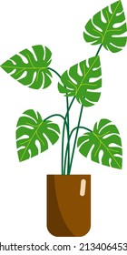 Flat vector monstera plant illustration