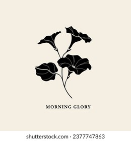 Flat vector morning glory flower illustration