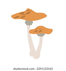 Flat vector of mushroom isolated on white background. Flat illustration graphic icon EPS