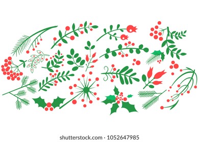Flat vector of natural decorative elements. Red rowan berries, branches of fir, green leaves and other blossoming plants. Design for greeting card