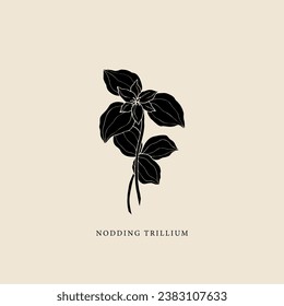 Flat vector nodding trillium illustration