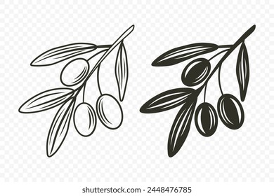 Flat Vector Olive Branch with Olives Set. Hand Drawn Olive Tree Branch with Outline