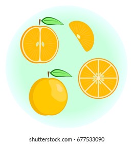 Flat vector orange set - fruit split in a half along and across, fruit circle and wedge, a slice or a segment of an orange. Cute colorful summer fruit