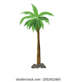 Flat vector of palm trees, coconut tree iconic illustration. Tropical tree for your design or project.