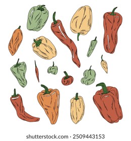 Flat vector peppers set, colorful sweet and spicy vegetables, for food designs, package, posters