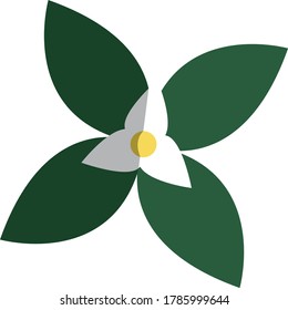 Plantas vectoriales planas con hojas verdes y flor blanca