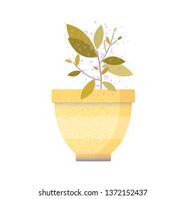 Flat vector plant illustration