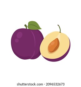 Flat Vector Of Plums, Stone Fruit Family Isolated On White Background. Flat Illustration Graphic Icon