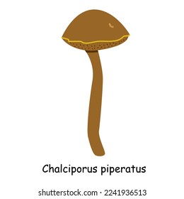 A flat vector of a poisonous mushroom isolated