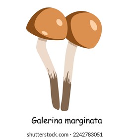 Un vector plano de un hongo de toadstool venenoso aislado