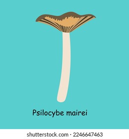 A flat vector of a poisonous toadstool mushroom isolated