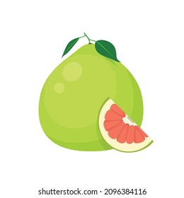 Flat vector of Pomelo isolated on white background. Flat illustration graphic icon