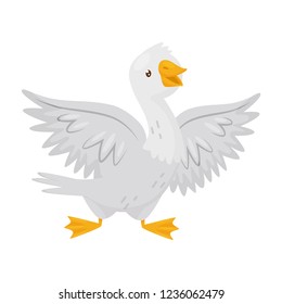 Flat vector portrait of adult goose with wide open wings. Farm bird with white feathers, orange beak and legs