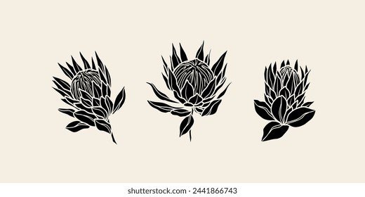 Flat vector protea flowers collection