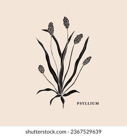 Flat vector psyllium plant illustration