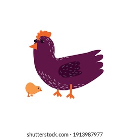 vector plano, gallina púrpura, fondo blanco, gran tamaño