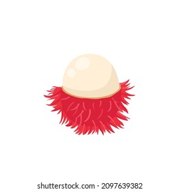 Flache Vektorgrafik von Rambutan einzeln auf weißem Hintergrund. Bildbildsymbol