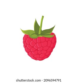 Flat vector of Raspberries isolated on white background. Flat illustration graphic icon