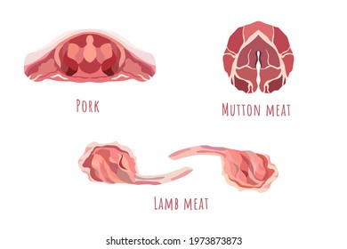 Flat Vector Of A Raw Pork, Mutton And Lamb Meat. Symmetrical Shape Of Colorful Meat Pieces. EPS10 Vector Illustration