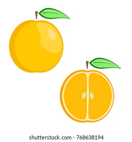 Flat vector ripe orange set - full fruit and split in a half. Cute colorful summer juicy acid fruit for advertisement, juice or baby food package, children book design