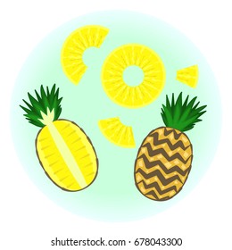 Flat vector ripe pineapple set - fruit split in a half , quarter, pine circle without rind sliced on half, quarter and piece. Cute colorful summer fruit