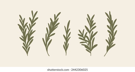 Flat vector  rosemary branches collection