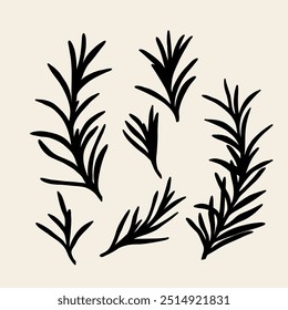 Flat vector rosemary branches collection