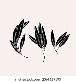 Flat vector sage branches collection