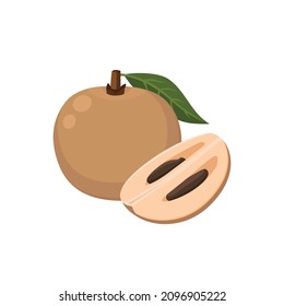 Flat vector of Sapodilla Fruit isolated on white background. Flat illustration graphic icon