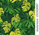 Flat Vector Seamless Pattern Monstera Deliciosa Leaf