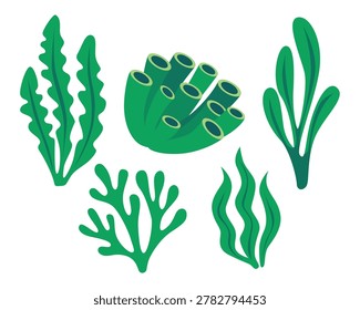 Flat vector seaweed and coral collection in marine style. Underwater ocean plants isolated on light background.