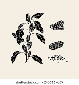 Flat vector sesame plant illustration