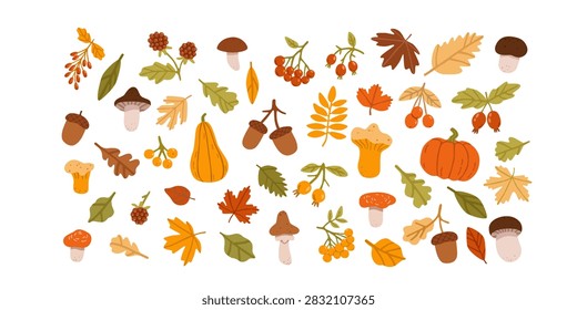 Flat vector set of autumn forest elements including mushrooms, acorns, pumpkins, leaves and wild berries in warm seasonal colors, isolated on white.