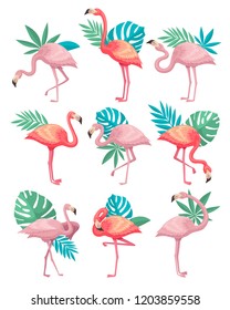Flat vector set of beautiful flamingos with green leaves of tropical plants. Birds with pink feathers, long legs and neck