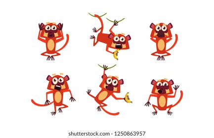 Flat vector set of brown lemur with various emotions. Monkey in different poses. Wild animal. Funny cartoon character