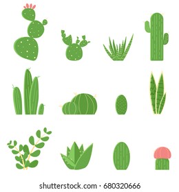 Flat vector set of cacti and succulents. Cartoon illustration of cactus isolated on white background.