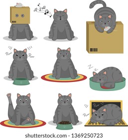 Flat vector set. Cartoon illustration with fat grey cats in different situations. Collection of funny kitty.