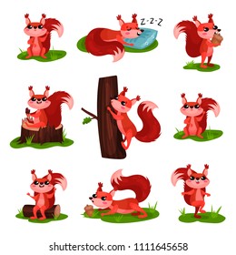 Flat vector set of cartoon squirrel in different actions. Sleeping, climbing up tree trunk, eating ice-cream and acorn, walking by grass