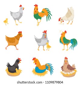 Flat vector set with chickens, little chicks and roosters. Farm birds. Domestic fowl. Elements for advertising poster or banner