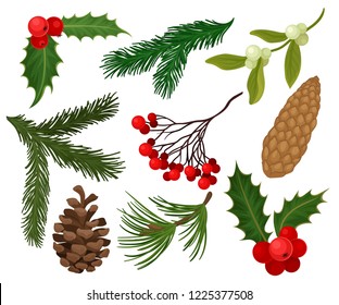 Flat vector set of Christmas plants. Holiday symbols. Holly berries, pine or fir cones, branch of mistletoe and coniferous trees