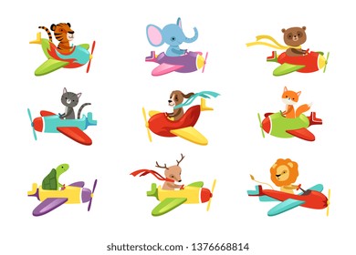 Conjunto de vectores planos con lindos animales volando en aviones coloridos. Caricaturas de criaturas domésticas y salvajes. Diseño para la impresión, el libro o la postal en pantalones infantil