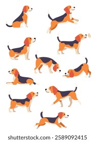 Flat vector set of Cute Dog in Various Action Poses - Walking, Running, Jumping, and More.

