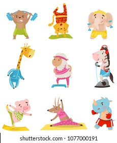 Flat vector set of cute humanized animals engaged in sports. Physical activity and healthy lifestyle. Funny cartoon characters in sportswear