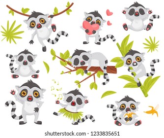 Flat vector set of cute lemur in different actions. Exotic animal with long tail and big shiny eyes