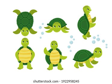 Flat vector set of cute turtles in different actions swimming. Cartoon set of cute turtle. Funny little turtles, walking and swimming turtle animals.