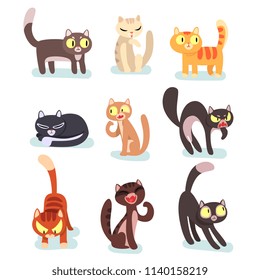 Flat vector set of different cats. Funny cartoon characters. Home pets. Cute domestic animals. Elements for poster, sticker or mobile game