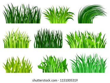 Flat vector set of different decorative grass borders. Bright green wild herb. Nature and botany theme. Natural landscape elements